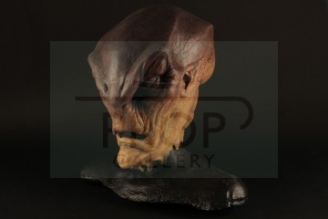 Alnschloss K'Bentayr (Katarzyna Kowalczyk) prosthetic mask