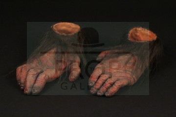 Primate feet