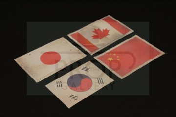 Flag costume patches
