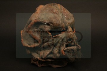 Kraal (Stuart Fell) head - The Android Invasion