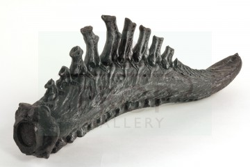 Alien warrior rear appendage