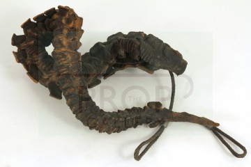 Alien warrior special effects tail
