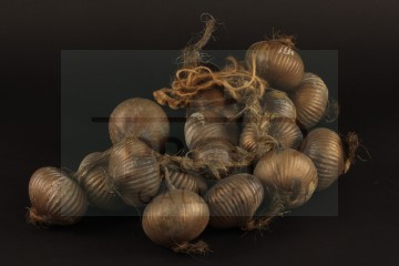 String of onions