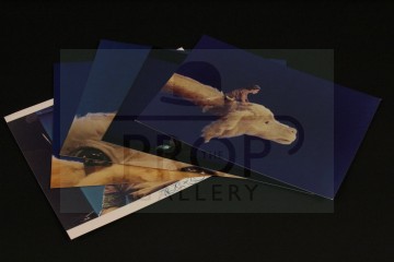 Production used reference images