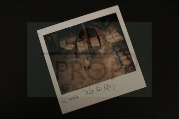 Reference Polaroid