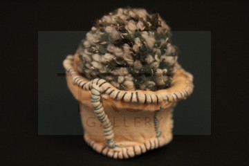 Plant pot & shrub