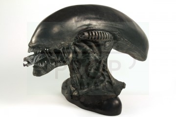 Alien head