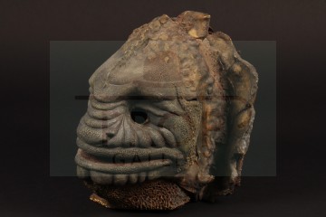 Terileptil mask - The Visitation