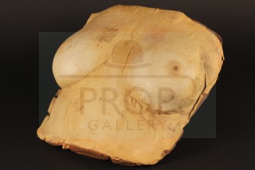 Megan Halsey (Barbara Crampton) insert chest