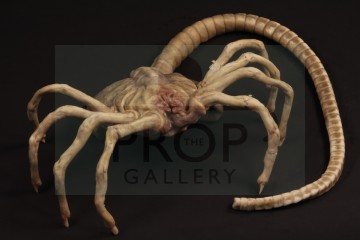 Facehugger