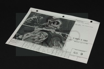 Lorne Peterson personal storyboard - Sankara Stones