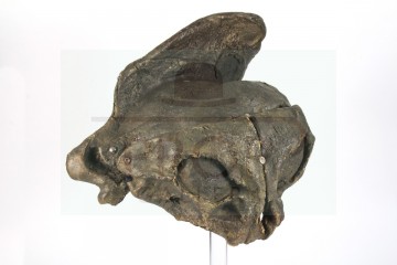 The Kurgan (Clancy Brown) shoulder armour