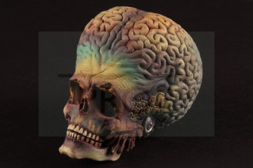 Martian puppet head