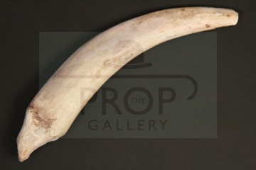 Midge (Will Barton) knife - Survival 