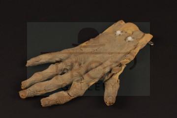 Mummy hand