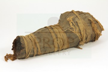 Mummy leg