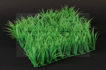 Large Chocolate Room grass section