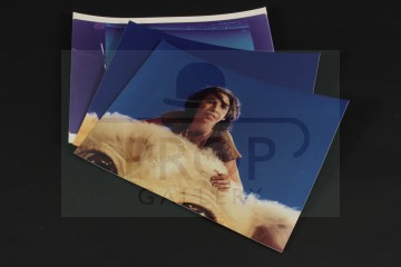 Production used reference images - Atreyu & Falkor
