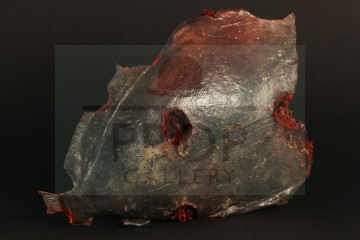 Piranha body