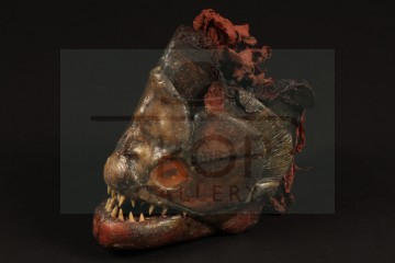 Severed piranha head