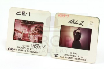 VistaVision slides