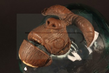 Galen (Roddy McDowall) face appliance