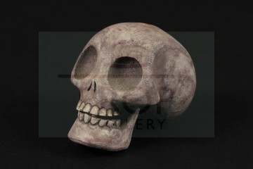 Skeleton puppet head