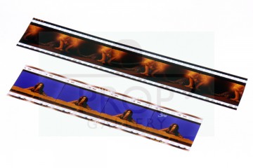VistaVision positive film - Sphinx Gate