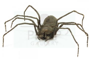 Hero clockwork spider - Planet of the Spiders
