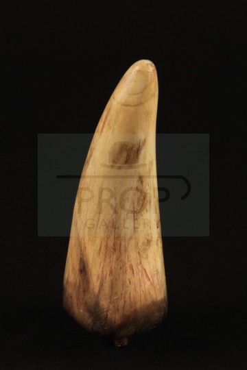 Spinosaurus tooth
