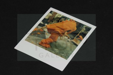 Production Polaroid - Rancor
