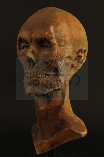 Pluto 5 crewmember head - In Warm Blood