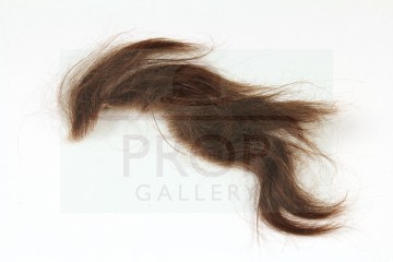 The Terminator (Arnold Schwarzenegger) hair piece