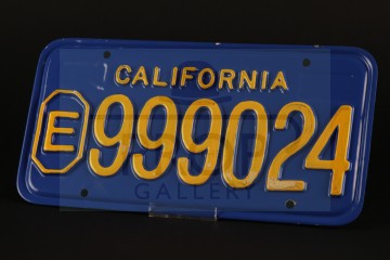 Police car licence plate