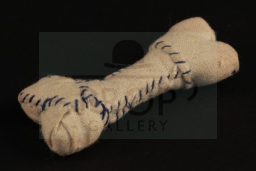Kevin the Dog's bone