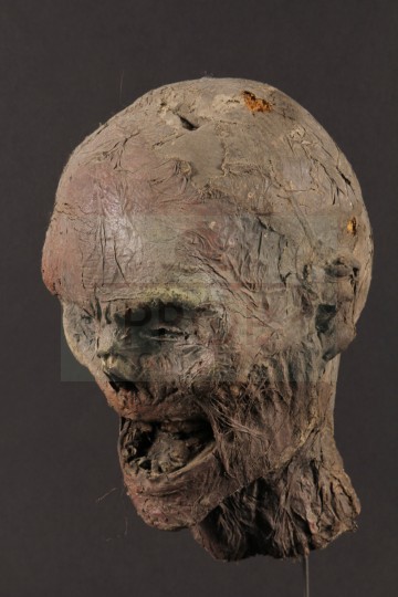 Mummy head