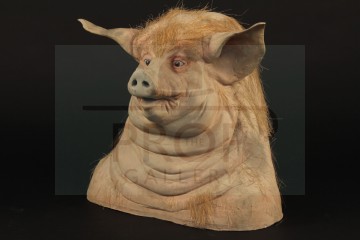 Pig reference head
