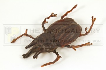 Pankot Palace banquet beetle