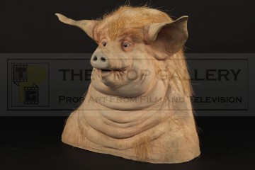 Pig reference head