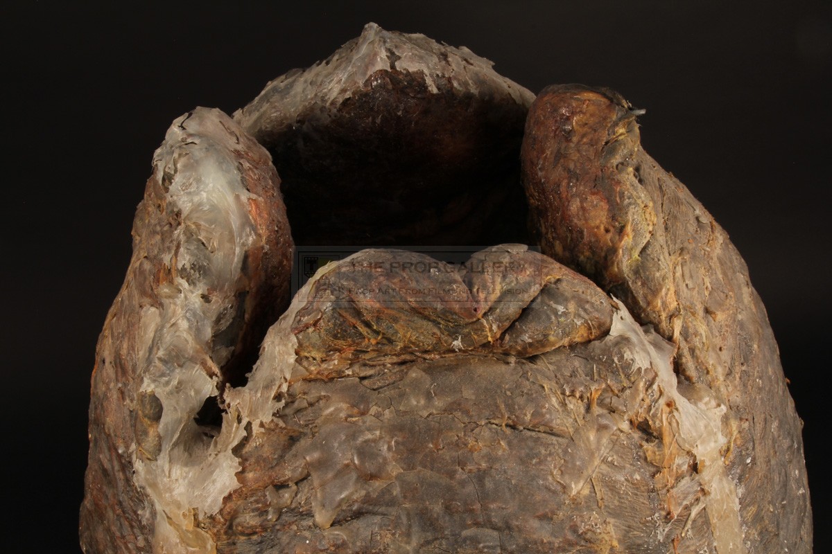 The Prop Gallery | Alien egg