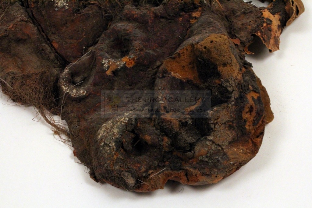 The Prop Gallery | Triffid root