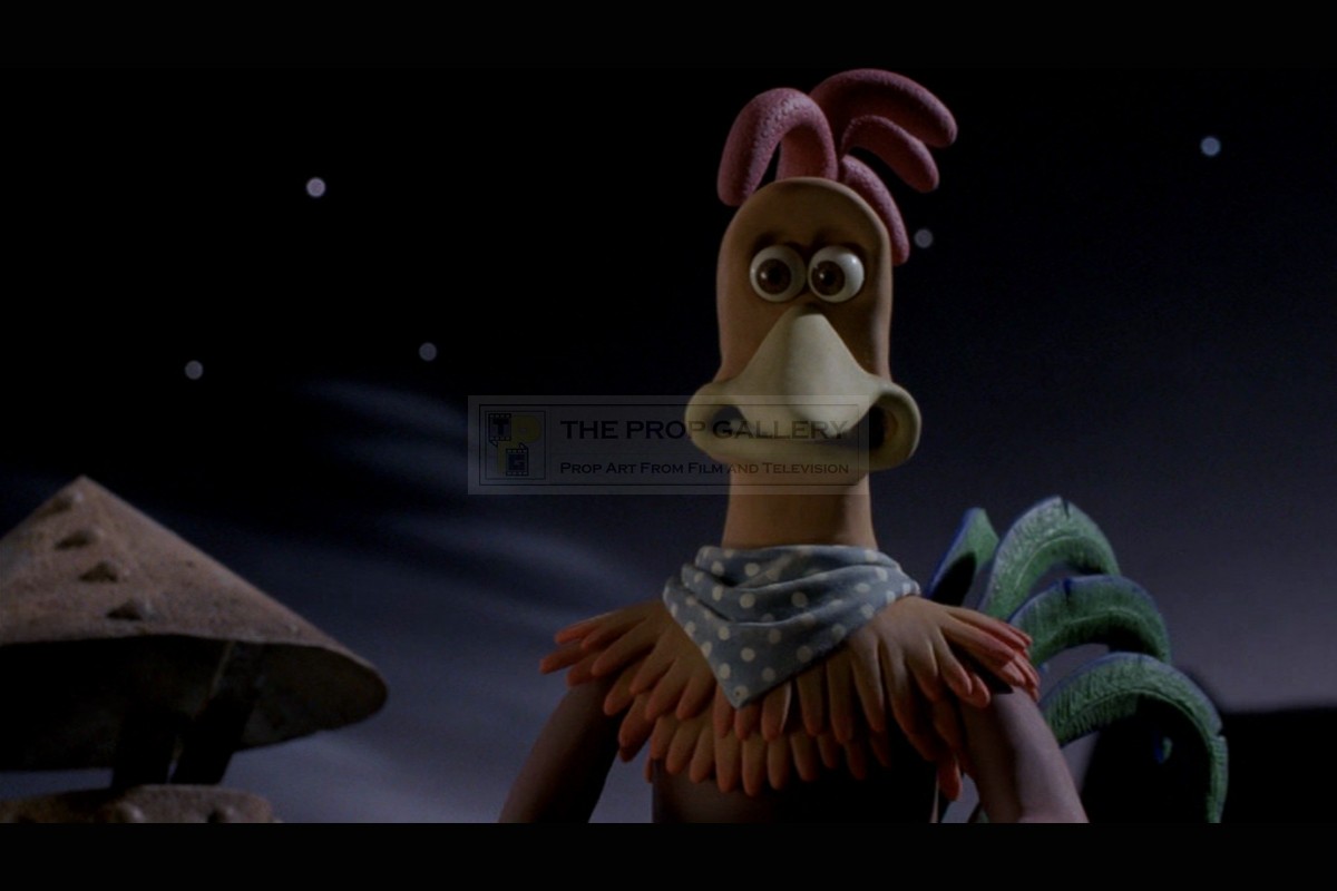 chicken run rocky chicken run rocky