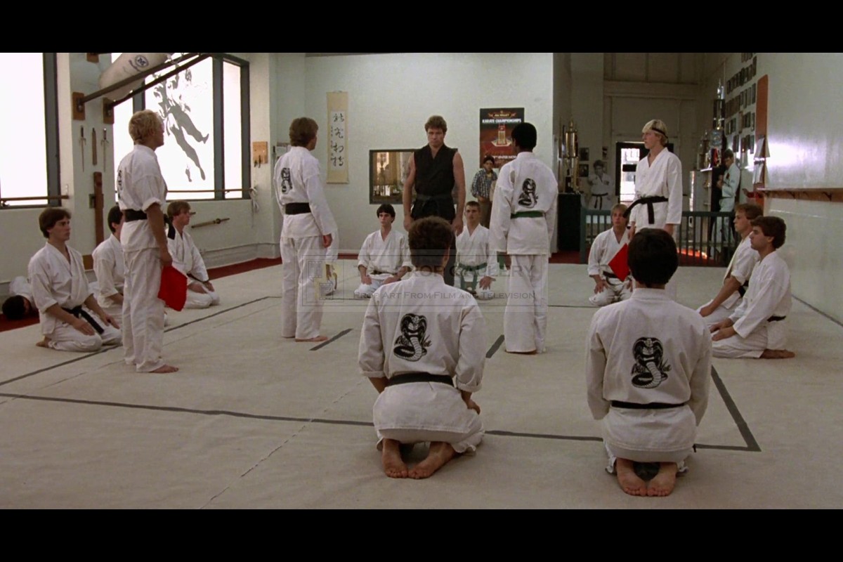 Cobra kai martial arts training