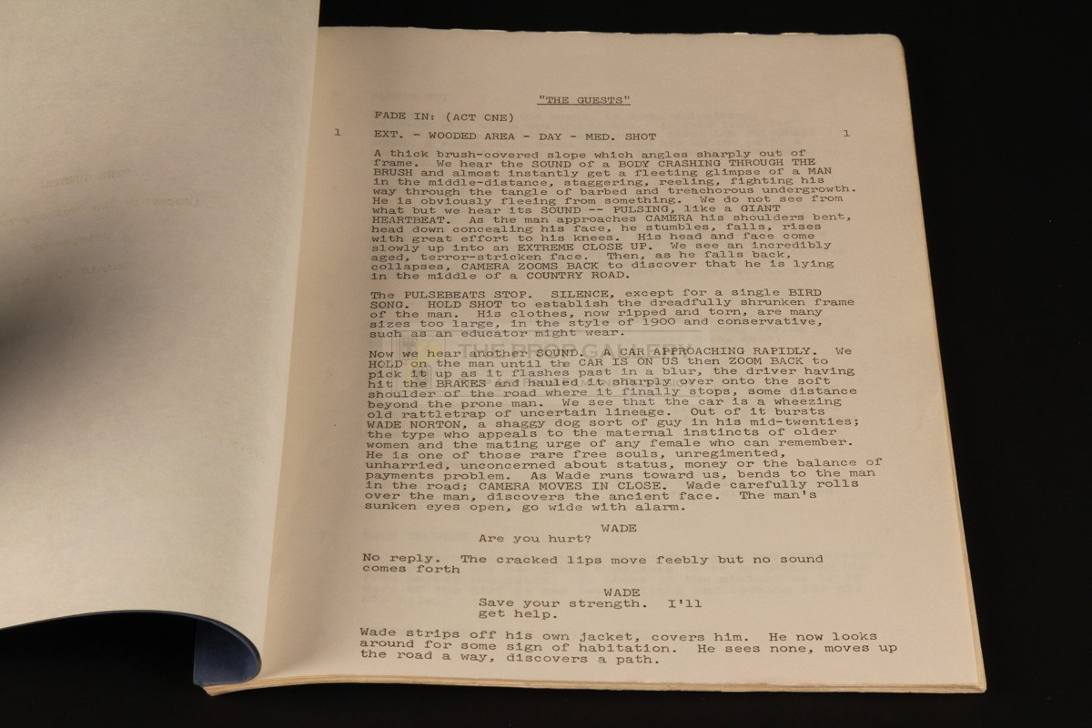 media shout 4 script limits