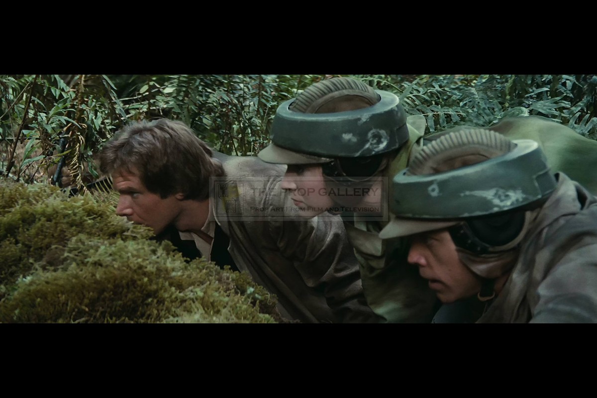 Endor sales trooper helmet