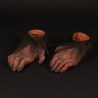 Primate feet