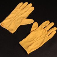 Argolian gloves - The Leisure Hive