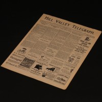 Hill Valley Telegraph newspaper