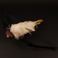Topper Harley (Charlie Sheen) bow and chicken arrow