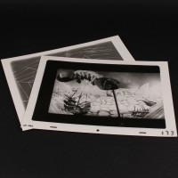 Production used animation frame prints